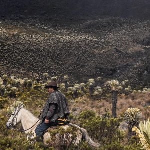 NEVADO DEL TOLIMA COCORA